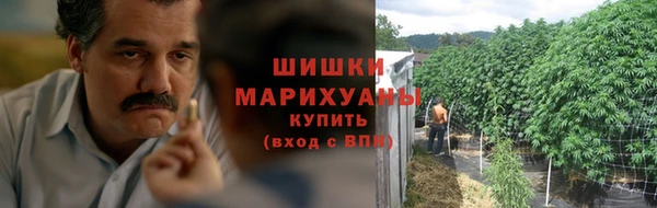 стаф Богородск