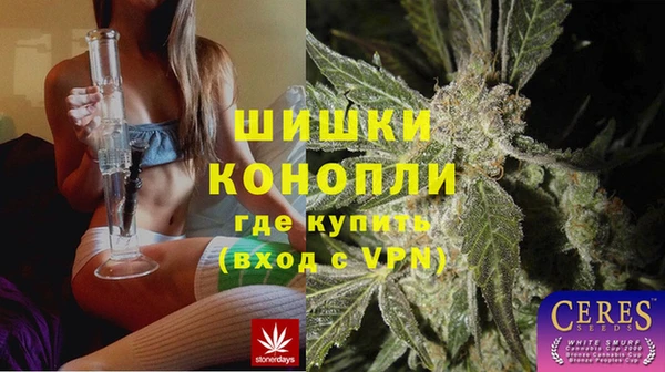 стаф Богородск