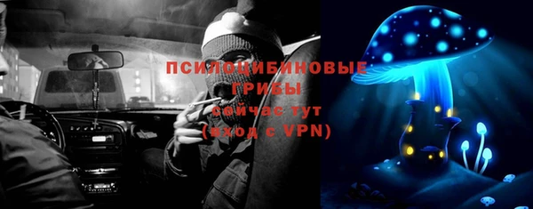 амф Богородицк