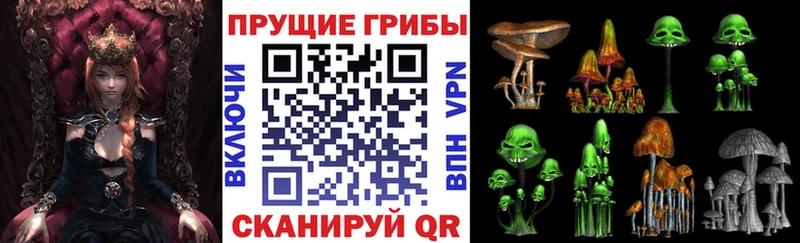 Псилоцибиновые грибы MAGIC MUSHROOMS  купить  цена  Нижнекамск 