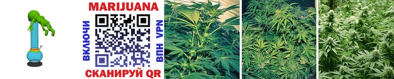 Марихуана OG Kush  Нижнекамск 